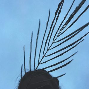 Meet your Posher, Isabella